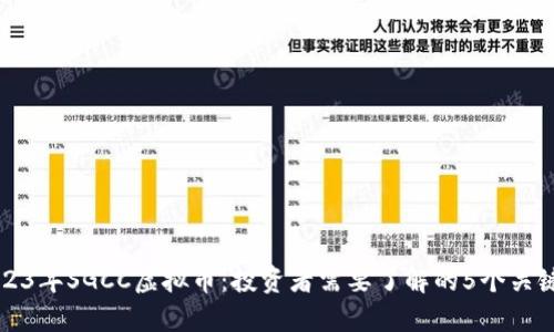 2023年SGCC虚拟币：投资者需要了解的5个关键点