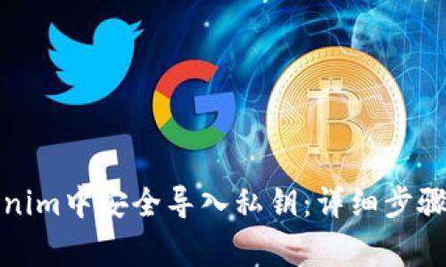 如何在Tokenim中安全导入私钥：详细步骤与注意事项