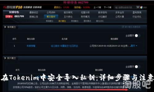 如何在Tokenim中安全导入私钥：详细步骤与注意事项