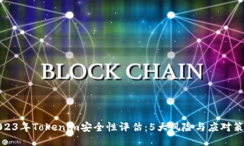 2023年Tokenim安全性评估：5大风险与应对策略