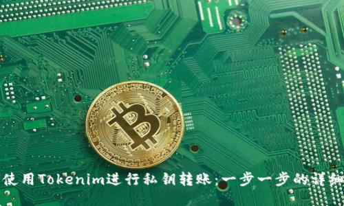 如何使用Tokenim进行私钥转账：一步一步的详细指南