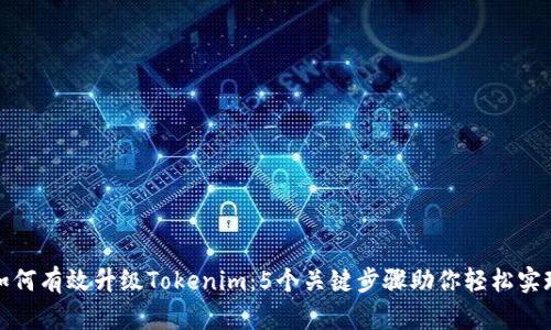 如何有效升级Tokenim：5个关键步骤助你轻松实现