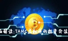 2023年全面解读：TAMC虚拟币的投资价值及未来趋势